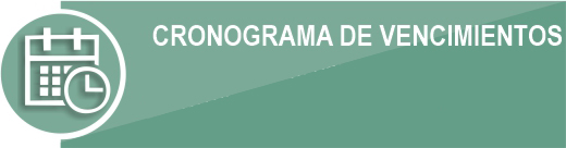 cronograma